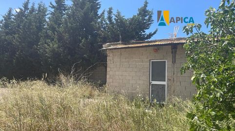 Foto 5 de Casa o xalet en venda a Pelagatos - Pago del Humo, Chiclana de la Frontera