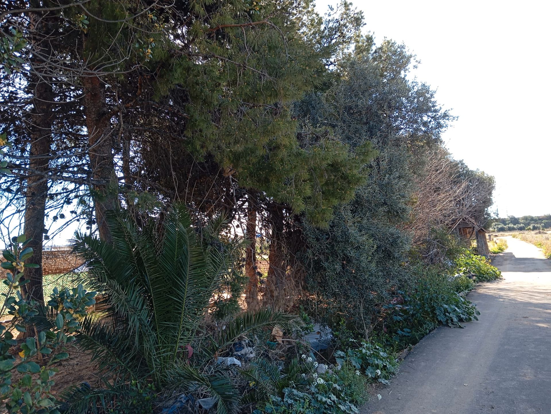 Finca rústica en venda en  Valencia Capital amb Jardí privat