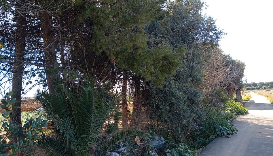 Foto 1 de Finca rústica en venta en Camí Caragolero, Faitanar, Valencia