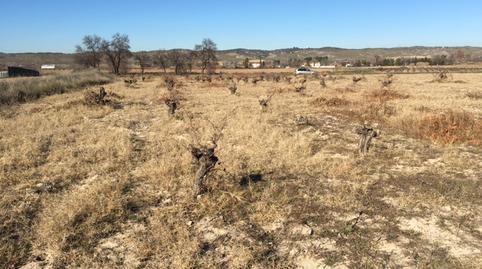 Photo 2 of Land to rent in Sol,  Madrid Capital