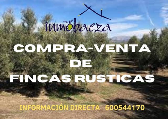 Terreno en Venta en Villargordo del Cabriel