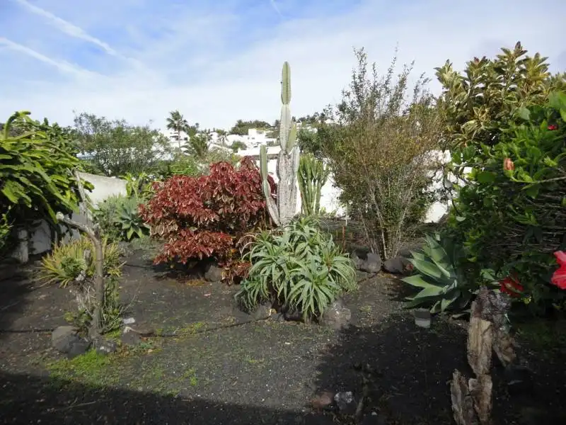 Garden of Houses for sale in Teguise  with Private garden, Terrace and Storage room