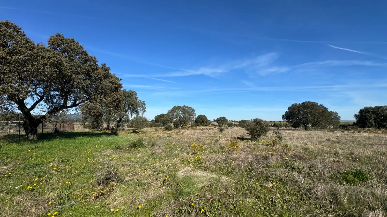 Land for sale in Cáceres