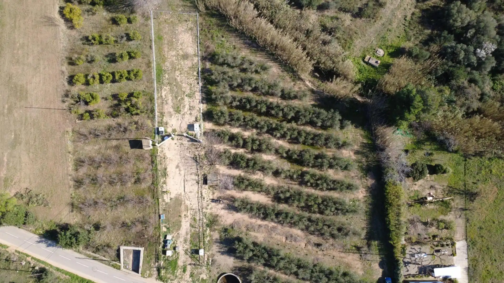 Lands and plots for sale in Carrer poligono 10, parcela 63, imagen 6