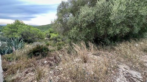 GRAN TERRENO CON VISTAS!!!, imagen 3