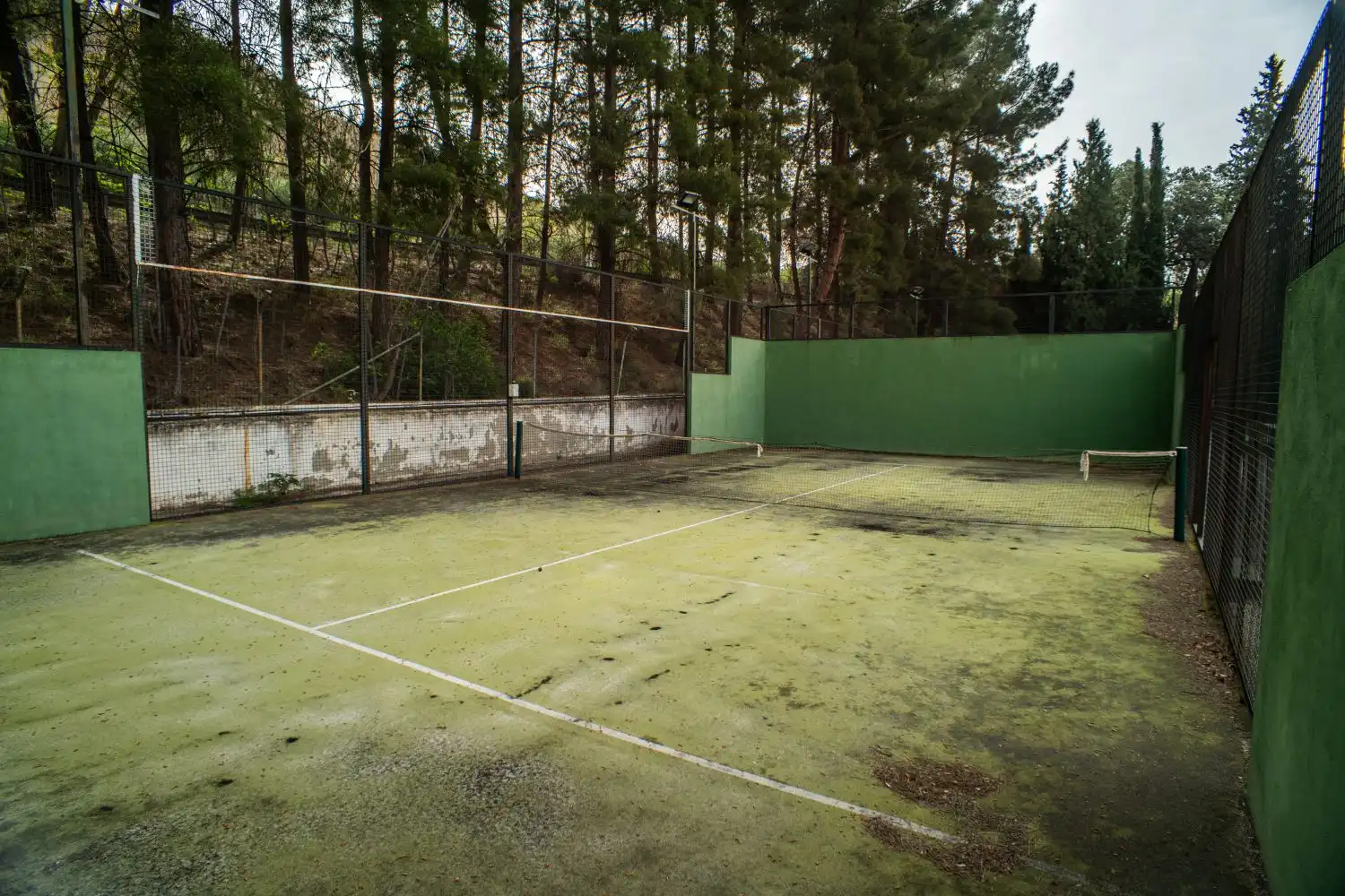 Jardí de Casa o xalet en venda en Loja amb Jardí privat, Terrassa i Piscina