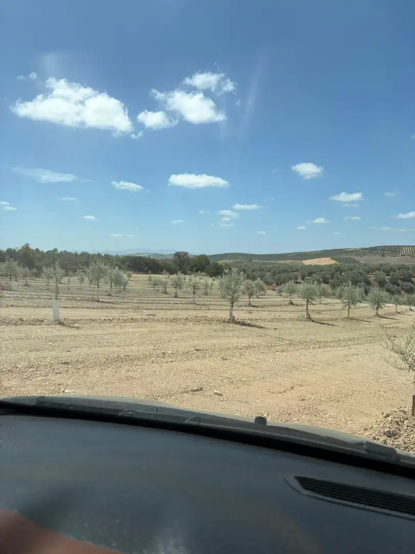 Terreno rustico in vendita a Montilla, imagen 3