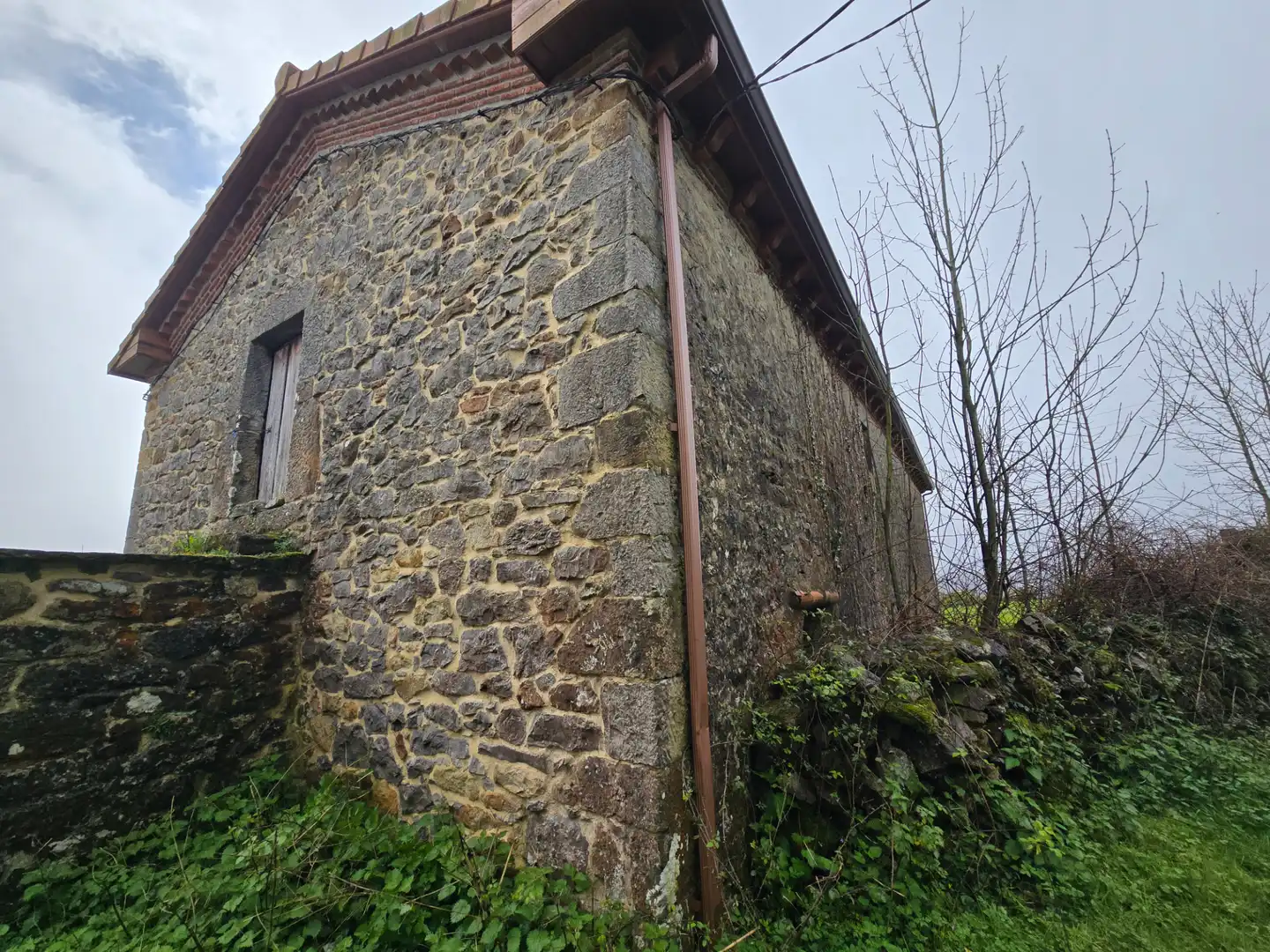Vista exterior de Finca rústica en venta en Ruesga