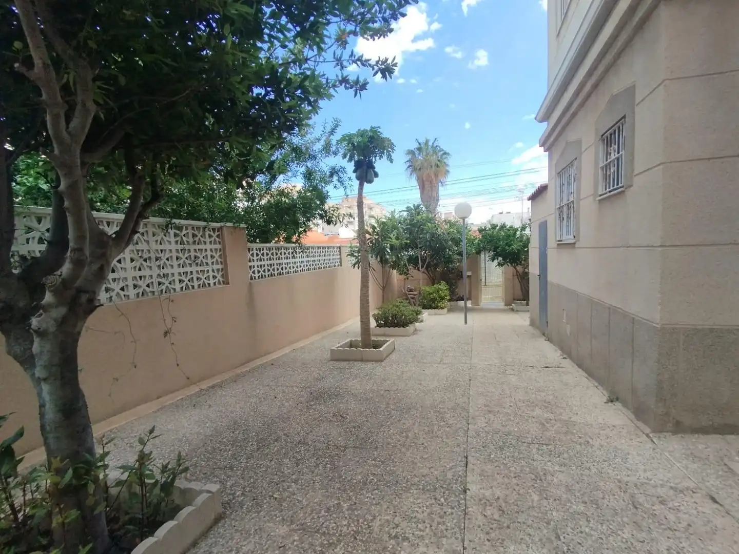 Vista exterior de Apartamento en venta en Torrevieja con Terraza, Amueblado y Balcón