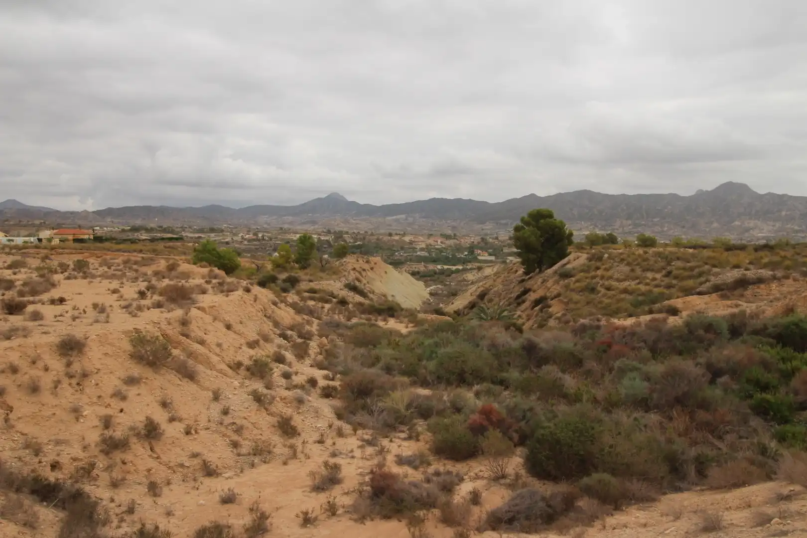 Terrenys i solars en venda a Abanilla, imagen 8