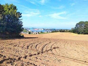 Terreni e lotti in vendita a QUINTALONGA 1