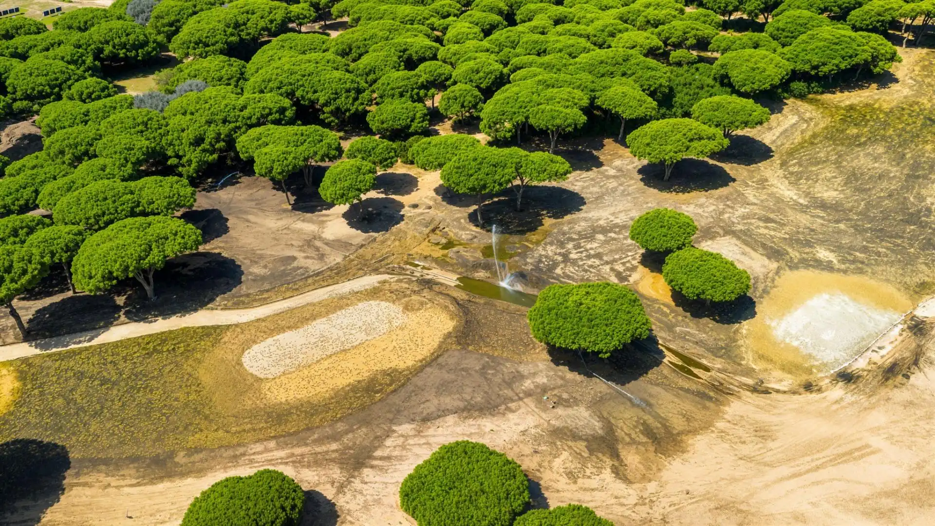 Jardí de Casa o xalet en venda en Chiclana de la Frontera amb Aire condicionat, Calefacció i Jardí privat