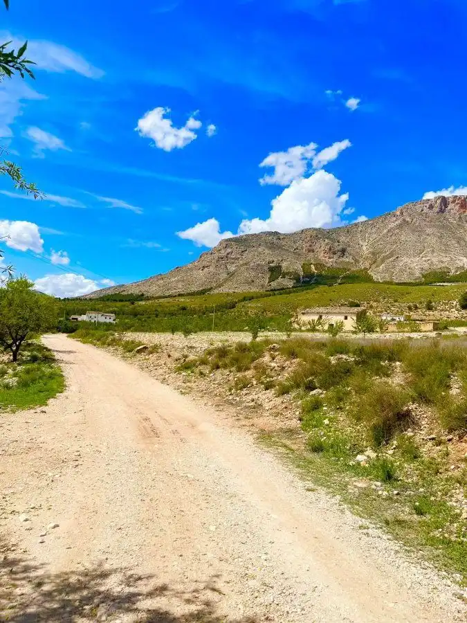 Terrenos y solares en venta en Vélez-Blanco, imagen 6