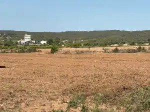 Land for sale in Bellvei