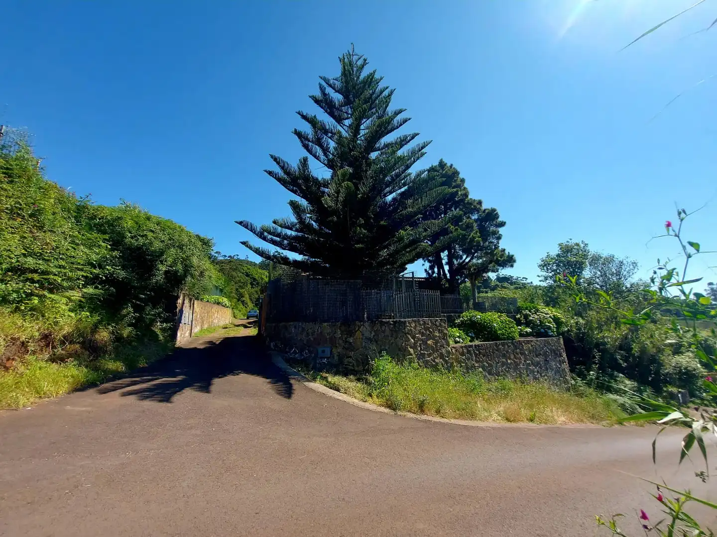 Vista exterior de Casa o xalet en venda en Tacoronte amb Jardí privat, Parquet i Terrassa