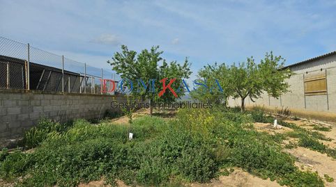 Granjas de crie y engorde, negocios de agricultura y casas., imatge 5