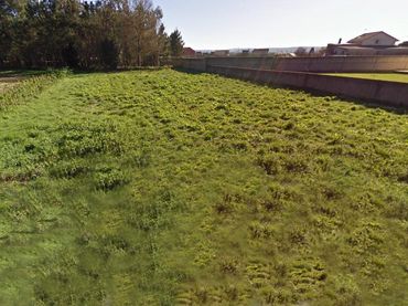 Rural land for sale in Carballo