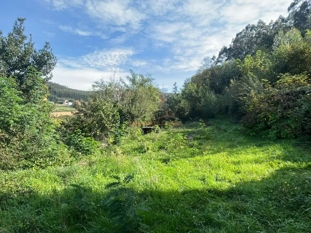 Houses for sale in Sedes - Pedroso - Doso