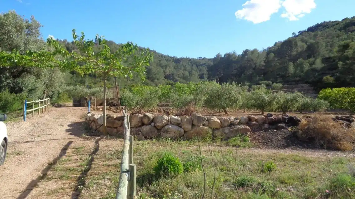 Terreno rustico in vendita a PESOLS, imagen 4