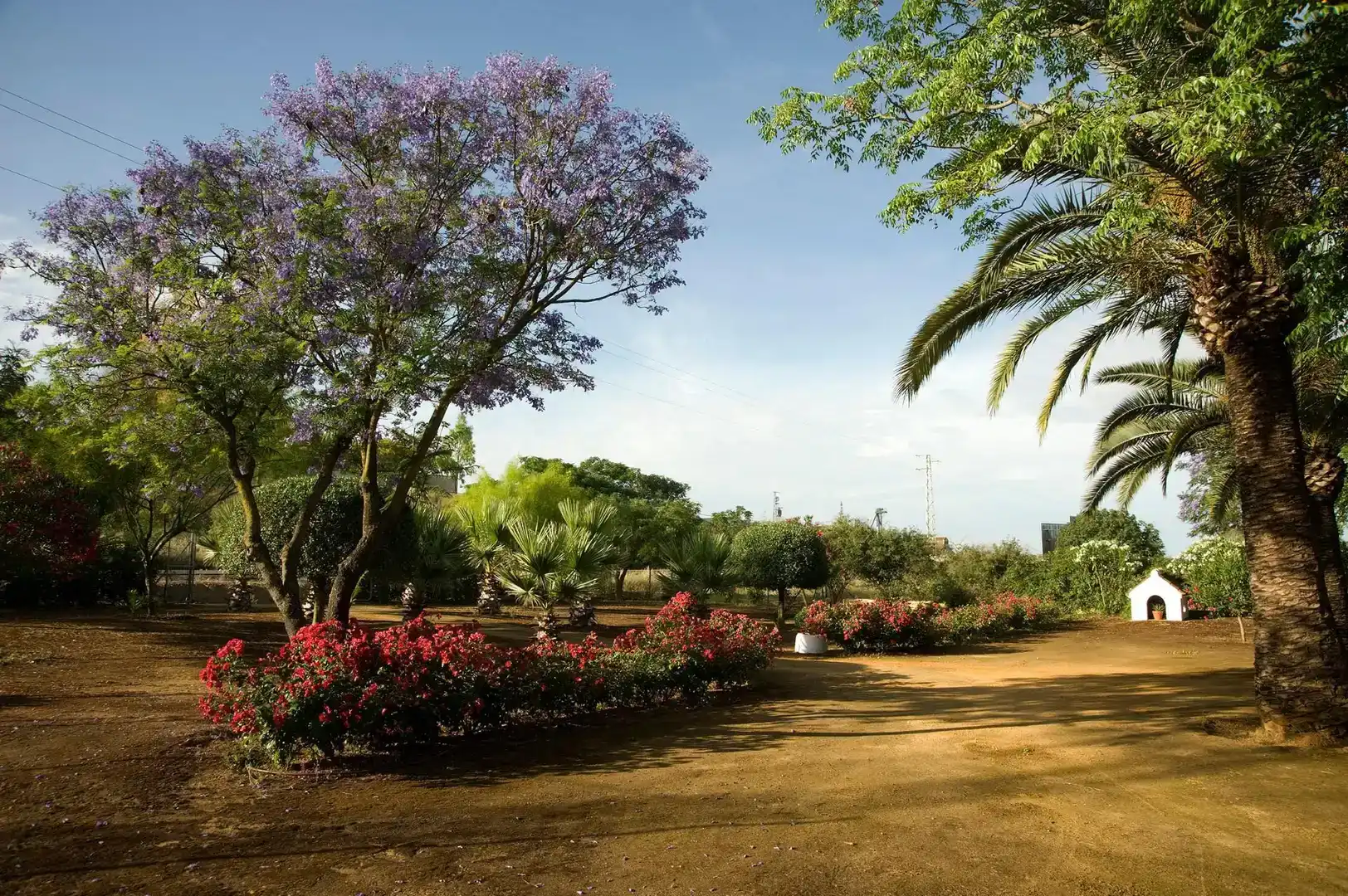 Jardí de Casa o xalet en venda en Carmona amb Aire condicionat, Jardí privat i Traster