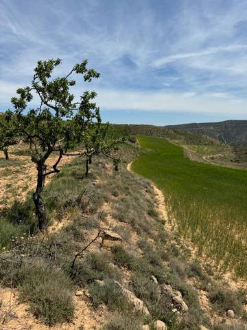 Terreno en Venta en Cervera del Río Alhama