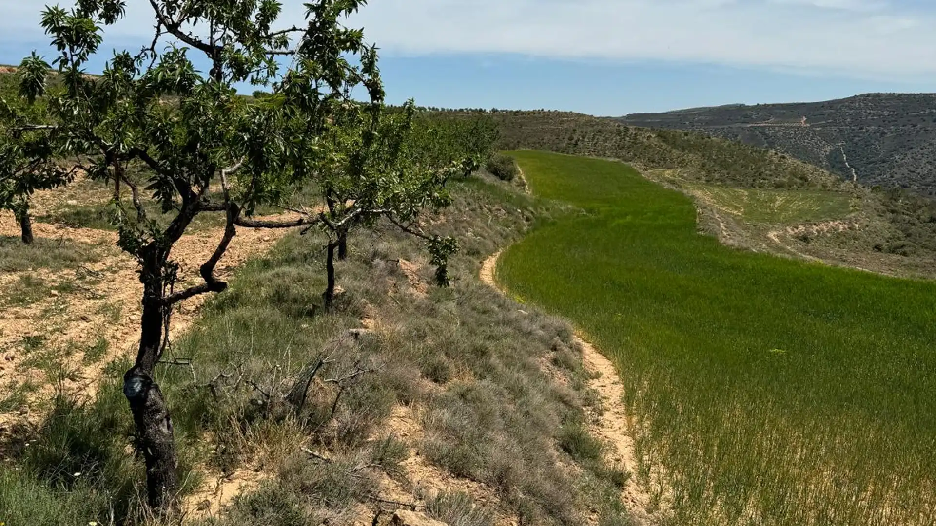 Terreno en venta en Cervera del Río Alhama