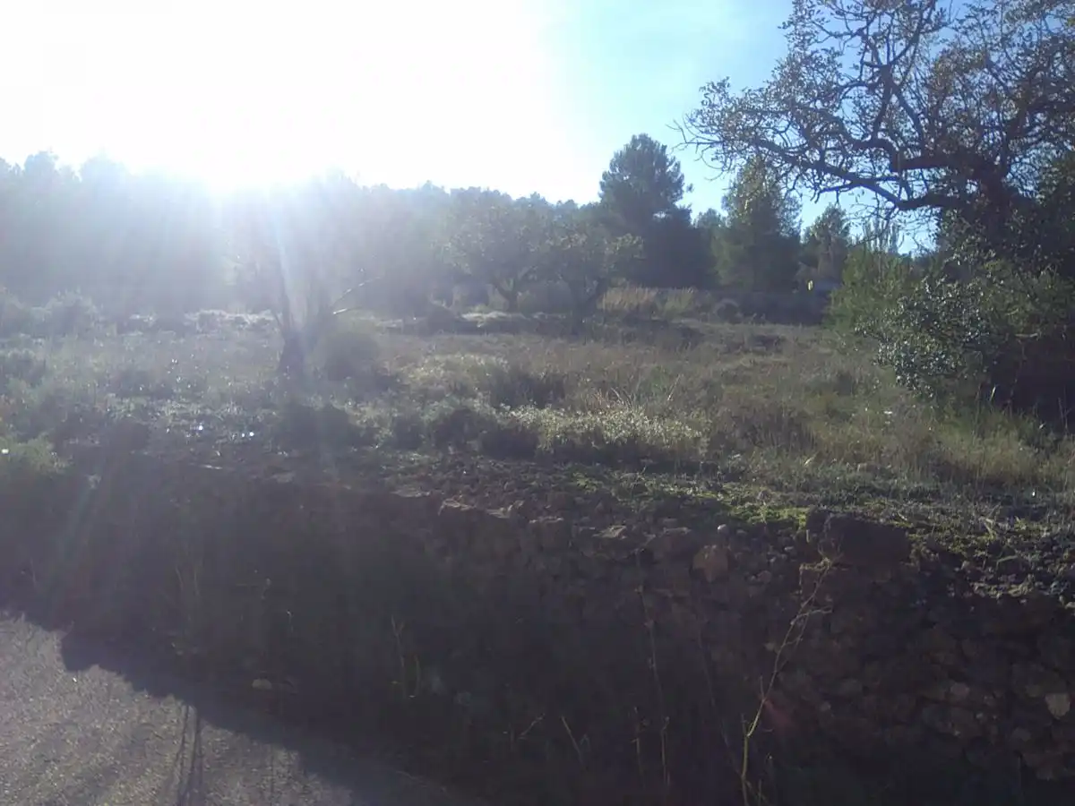 Terreno residencial en venta en Algímia de Alfara, imagen 7