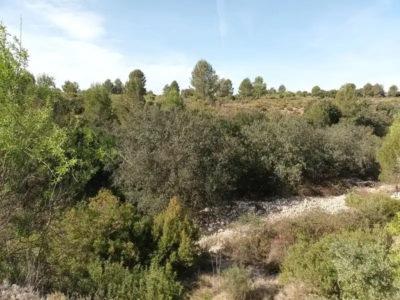 Land for sale in Ontinyent