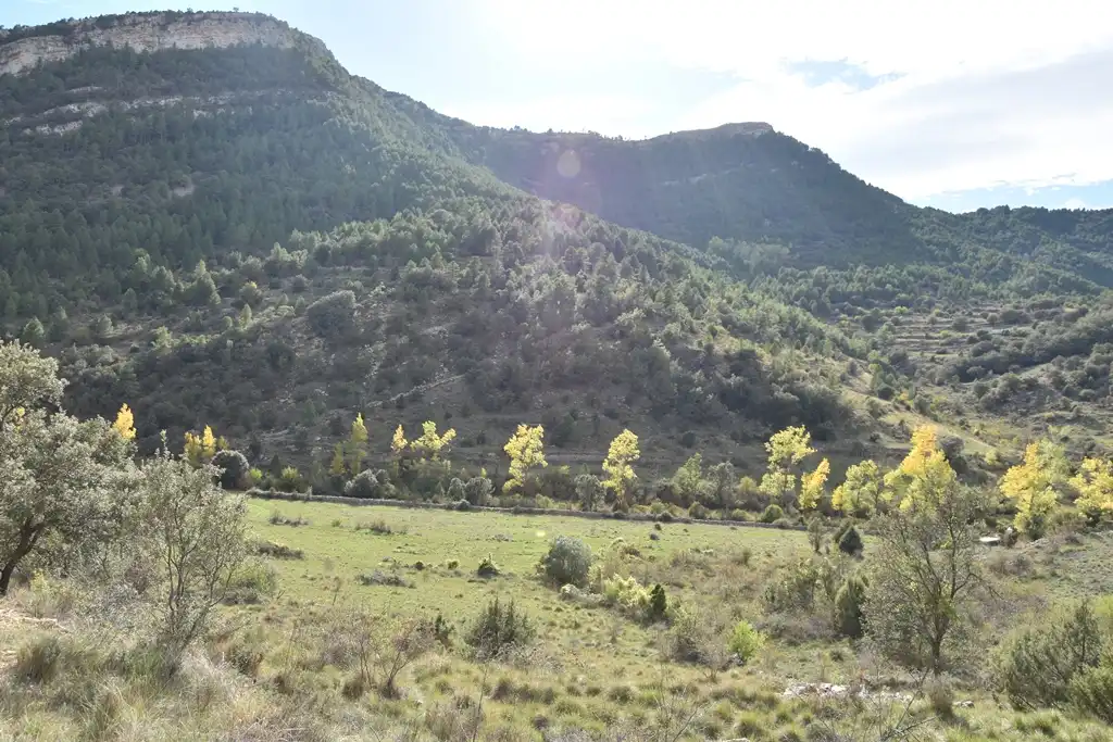 Terreni e lotti in vendita a Peñarroya de Tastavins, imagen 19