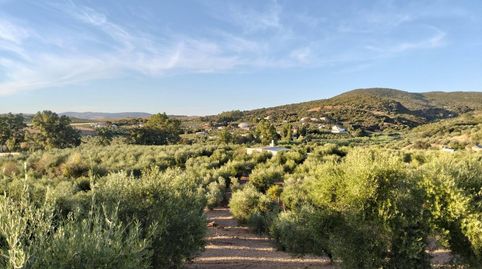Foto 3 de Finca rústica en venta en Algodonales, Cádiz
