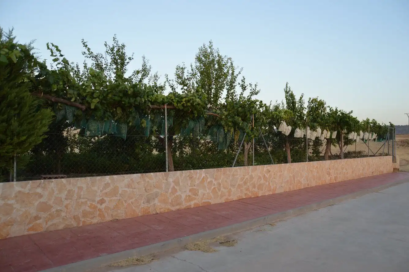 Terraza de Casa o chalet en venta en Torre del Burgo con Aire acondicionado, Jardín privado y Terraza