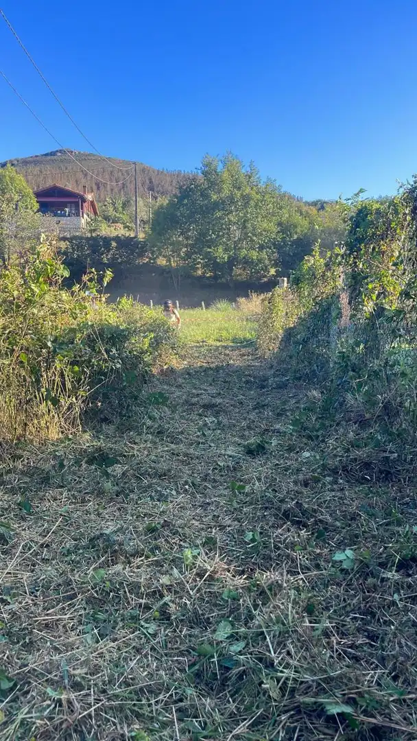 Grundstücke und Bauplätze zum Verkauf in Piloña, imagen 3