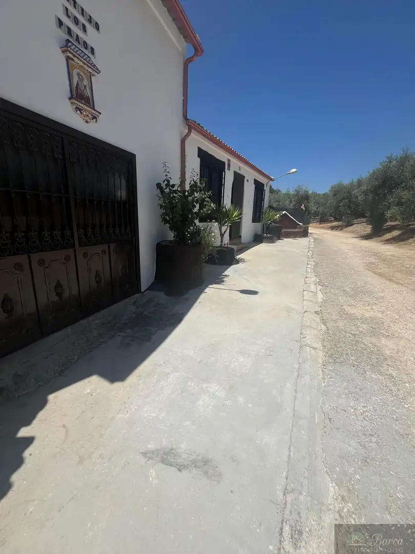 Vista exterior de Casa o xalet en venda en Rute