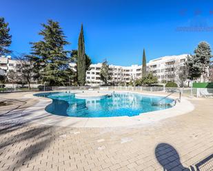 Swimming pool of Flat to rent in Pozuelo de Alarcón  with Air Conditioner, Heating and Parquet flooring