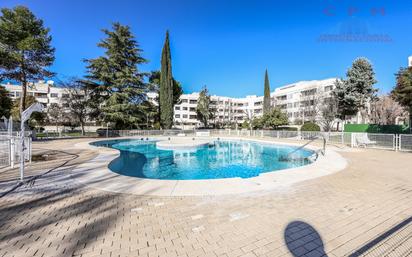 Swimming pool of Flat to rent in Pozuelo de Alarcón  with Air Conditioner, Heating and Parquet flooring