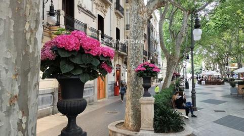 Foto 2 de Pis de lloguer a Sant Nicolau,  Palma de Mallorca