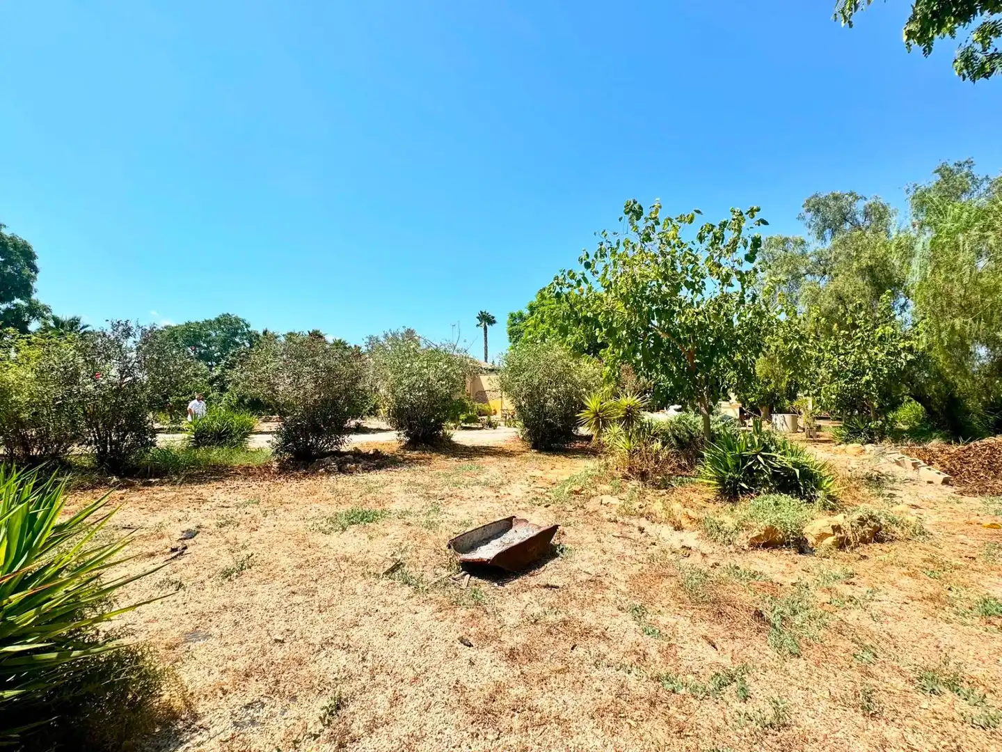Casa o xalet en venda en Elche / Elx amb Aire condicionat, Jardí privat i Terrassa