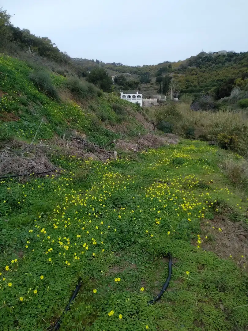 Casa rústica amb jardí en venda a Motril  ciudad, imagen 10
