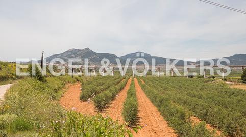 Photo 3 of House or chalet for sale in Mogente / Moixent, Valencia