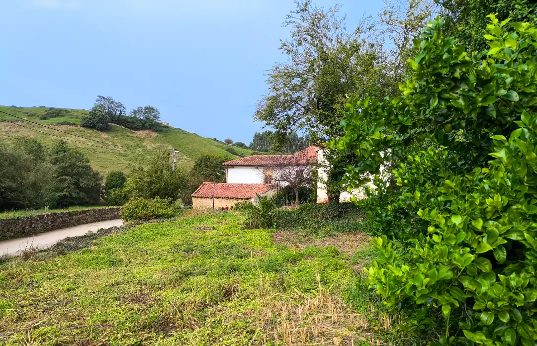 Detached homes for sale in Alfoz de Lloredo
