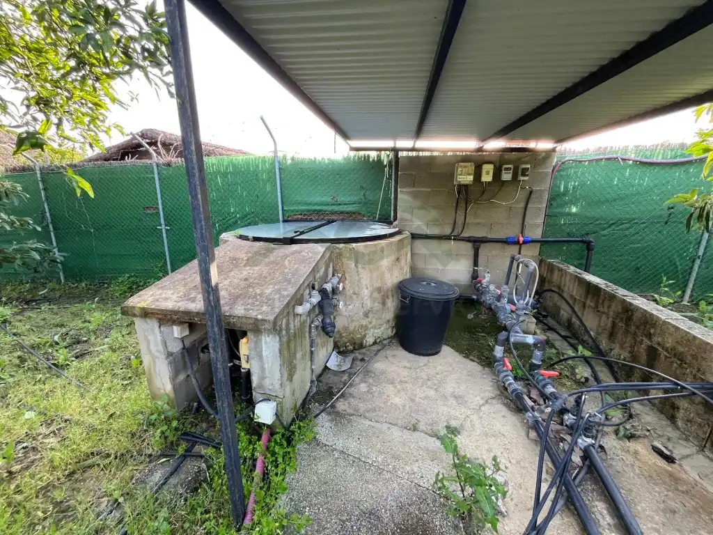 Country house for sale in Jimena de la Frontera, imagen 16