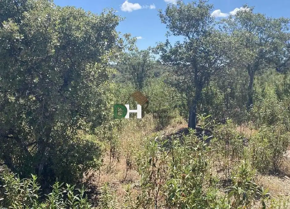 Terreni e lotti in vendita a El Carmen - Cardeñas, imagen 7