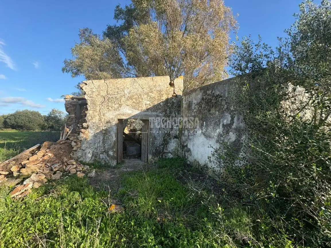 Terrain rustique à vendre à Vejer, imagen 9