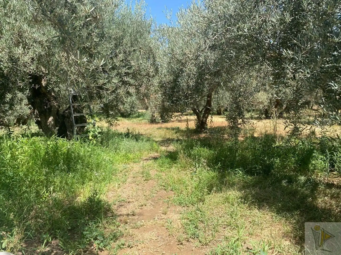 Country homes for sale in Pago del Miércoles, Gójar