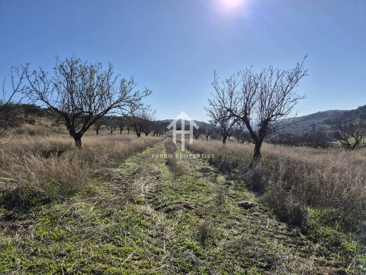 Terreni e lotti in vendita a Alhama de Granada, imagen 13