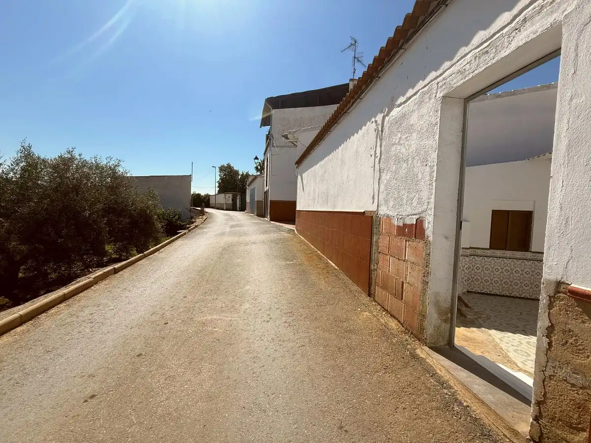 Vista exterior de Casa adosada en venta en Benamejí con Jardín privado, Terraza y Trastero