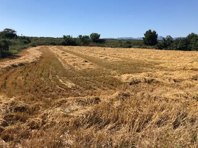 Terreny rústic en venda a Navarrete