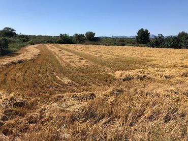 Rustikales Grundstück zum Verkauf in Navarrete