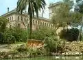 Terreny residencial en venda a Carrer de Can Paulet, imagen 4