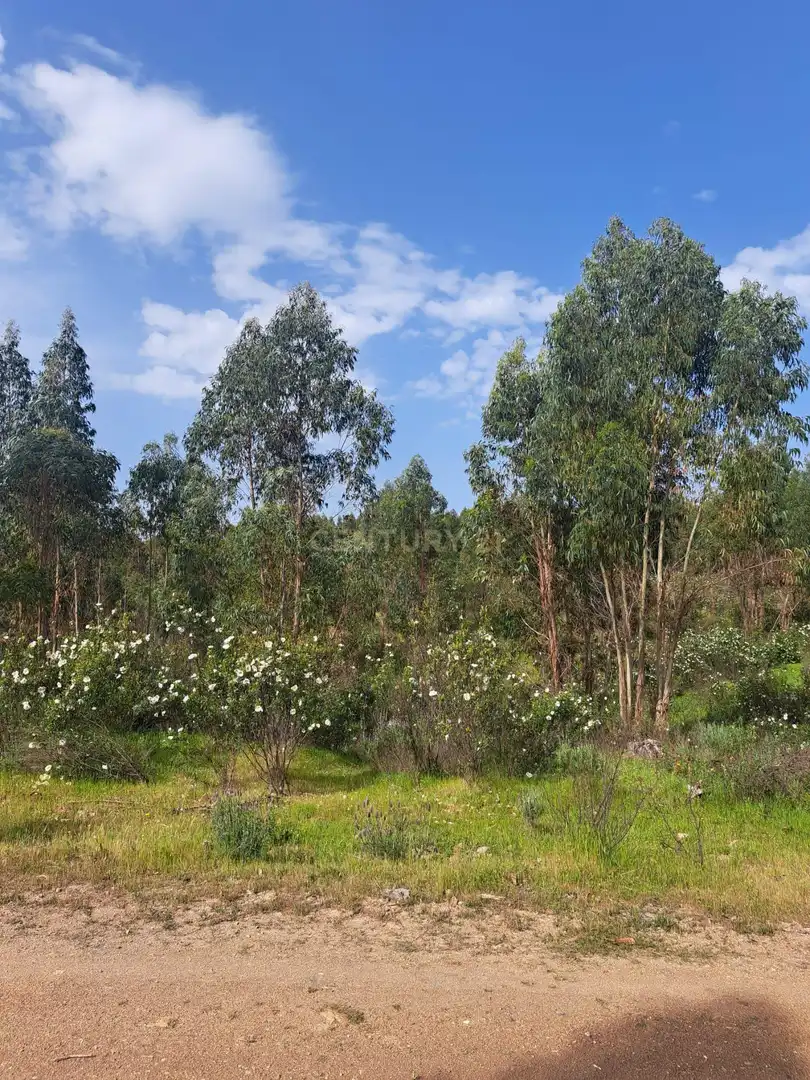 Terreno en venta en Herrera de Alcántara